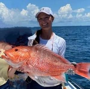 Meet your Posher, Mallory